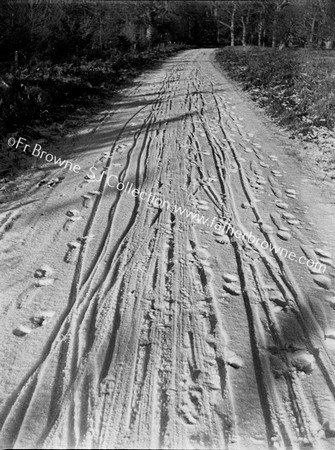 CAR TRACKS IN SNOW